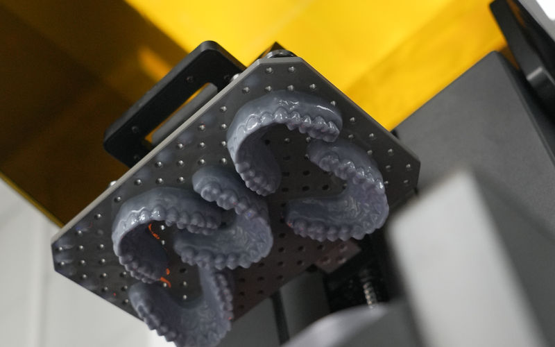 3D printed dental model